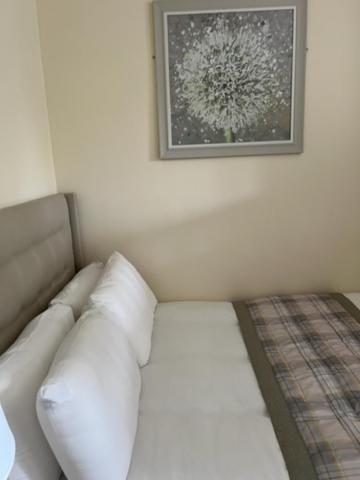 Waverley Inn Flat 因弗内斯 外观 照片